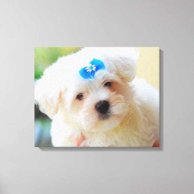 Puppy Canvas Print (Front)