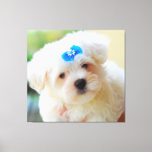 Puppy Canvas Print (Front)