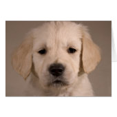 Puppy. Card by cARTerART (Front Horizontal)