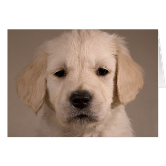 Puppy. Card by cARTerART (Front Horizontal)