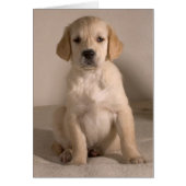 Puppy. Card by cARTerART (Front)