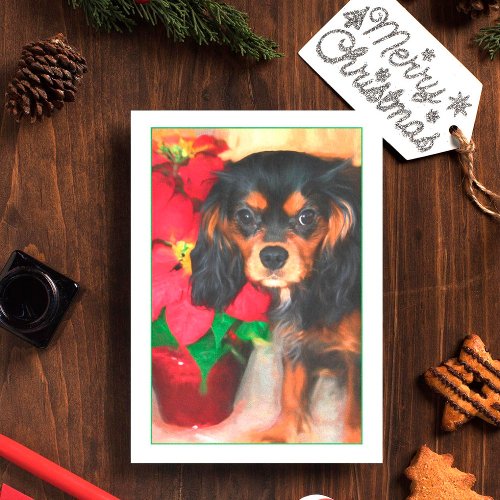 Puppy Cavalier King Charles Poinsettia Card