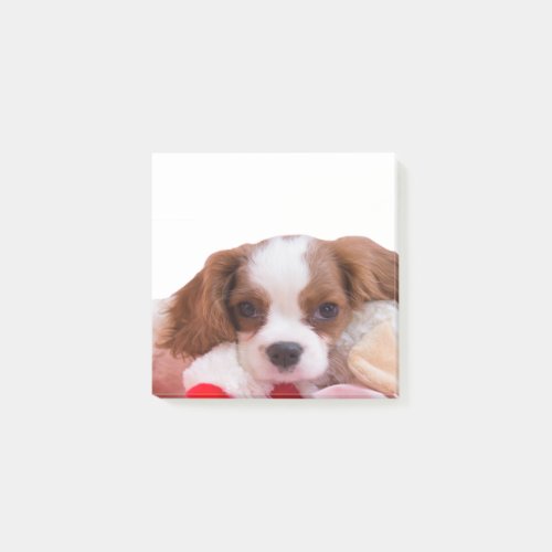 Puppy Cavalier King Charles Spaniel Post It Notes