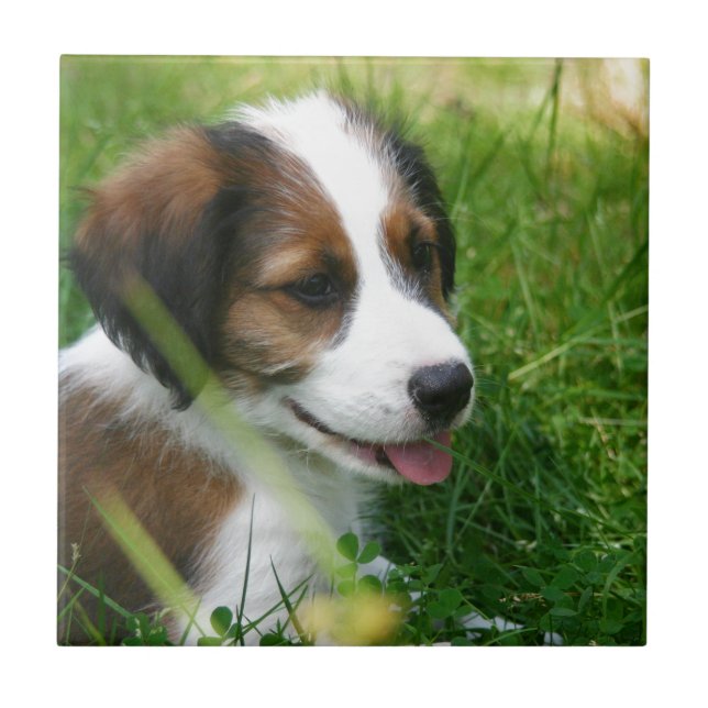 Puppy Ceramic Tile (Front)