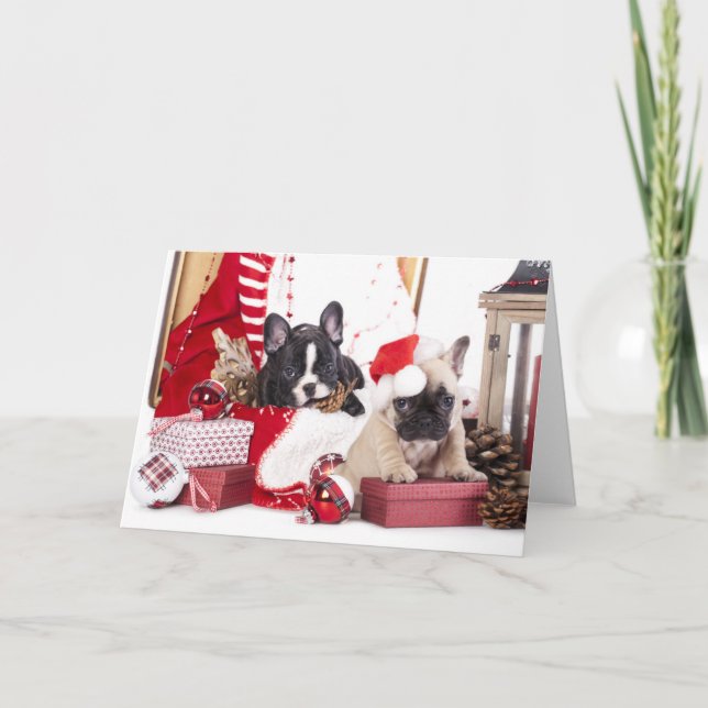 Puppy Christmas French Bulldog Holiday Card (Front)