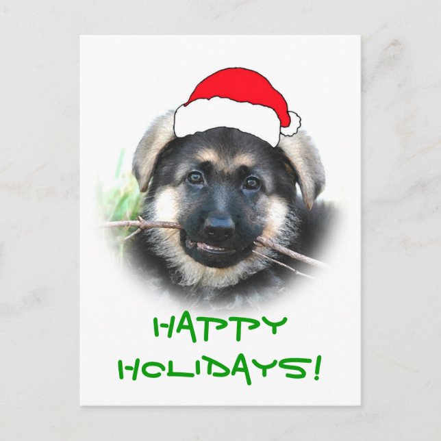 Puppy Christmas Postcard (Front)