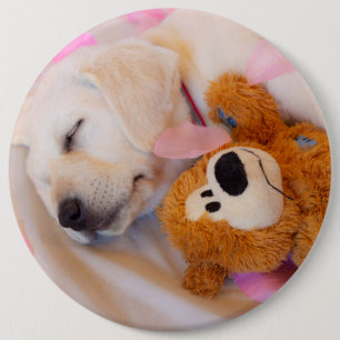 Puppy cuddles 02 button