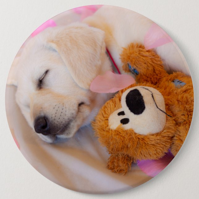 Puppy cuddles 02 button (Front)