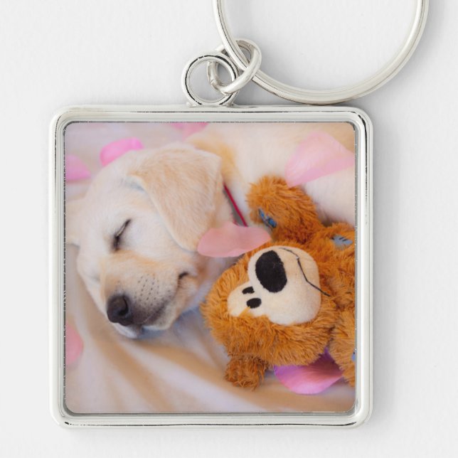Puppy cuddles 02 keychain (Front)