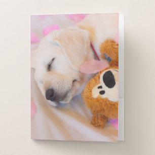 Puppy cuddles 02 pocket folder