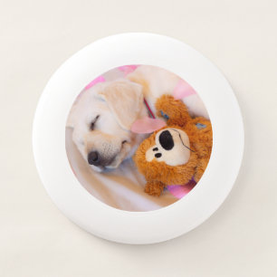 Puppy cuddles 02 Wham-O frisbee