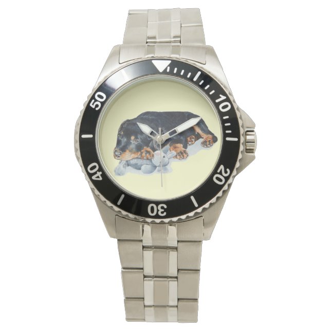 puppy cuddling teddy bear rottweiler dog watch (Front)