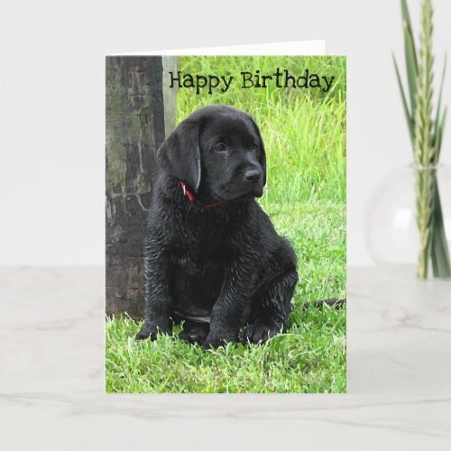 Puppy Days of Summer _ Black Labrador Card