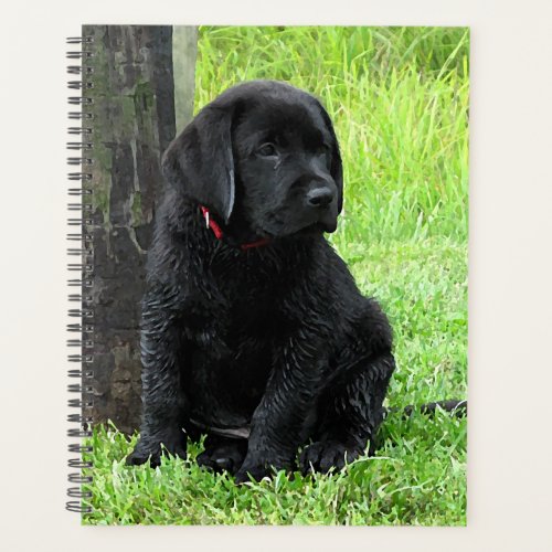 Puppy Days of Summer _ Black Labrador Planner