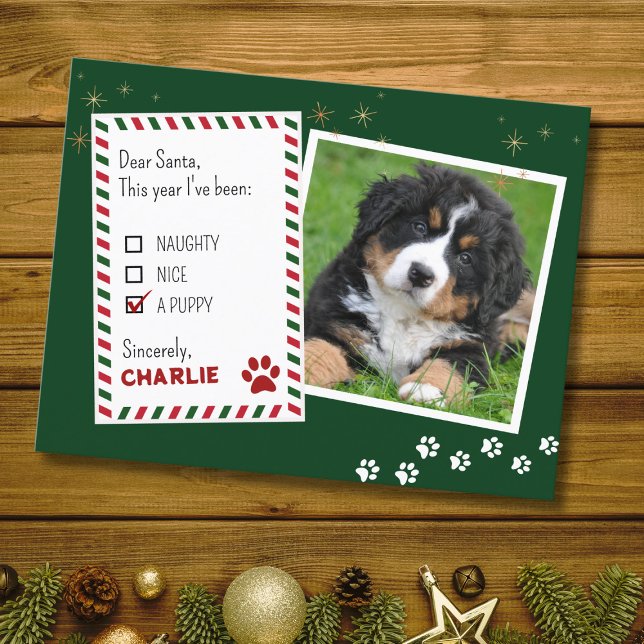 Puppy Dear Santa Green Christmas Greeting Card (Creator Uploaded)