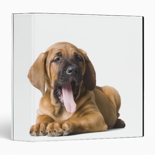 Puppy Dog 2 Binder