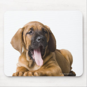Puppy Dog 2 Mouse Pad