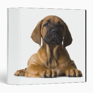 Puppy Dog 3 Ring Binder