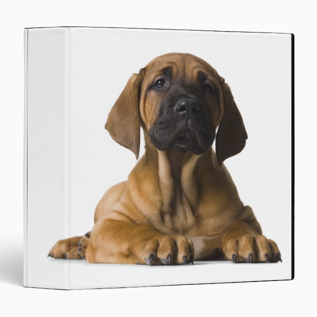 Puppy Dog 3 Ring Binder (Front/Spine)