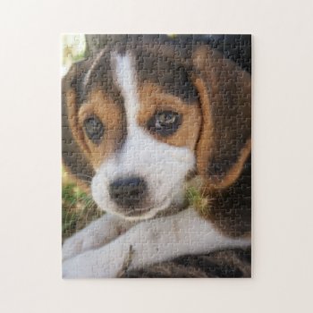 Puppy Dog Beagle   Jigsaw Puzzle by bonfireanimals at Zazzle
