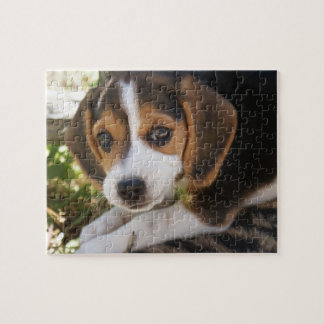 Puppy Dog Beagle Jigsaw Puzzle