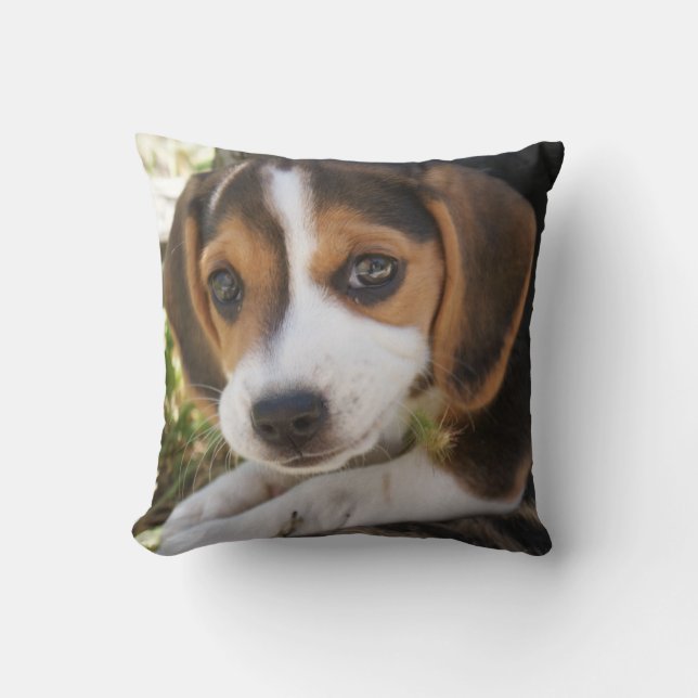 Puppy Dog Beagle Throw Pillow (Front)