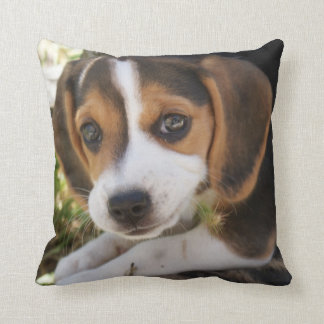 Puppy Dog Beagle Throw Pillow