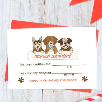 Puppy Dog Birthday Party Adoption Certificate Card | Zazzle