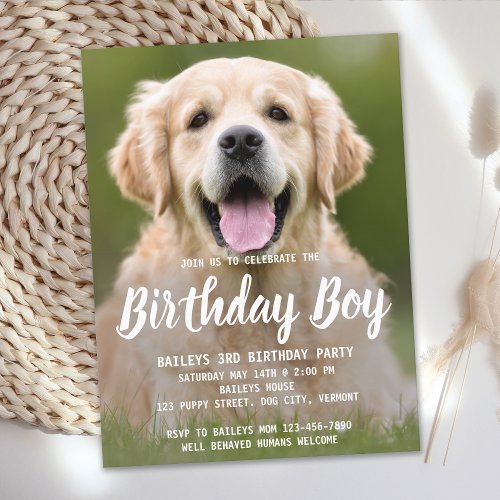 Puppy Dog Birthday Party Cute Pet Photo Invitation Postcard