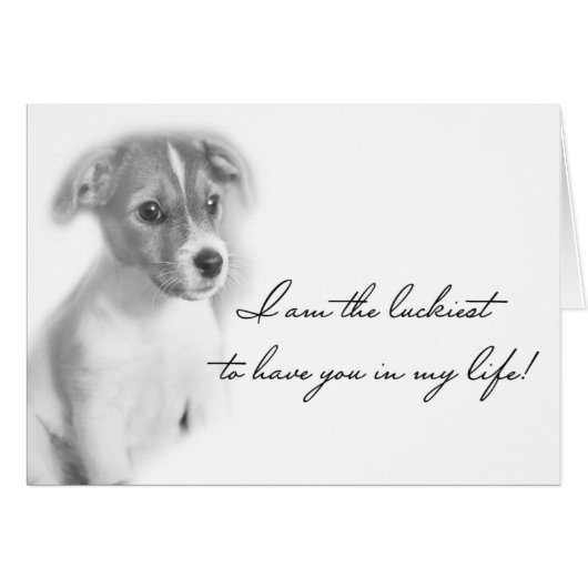 Puppy dog cards (Front Horizontal)