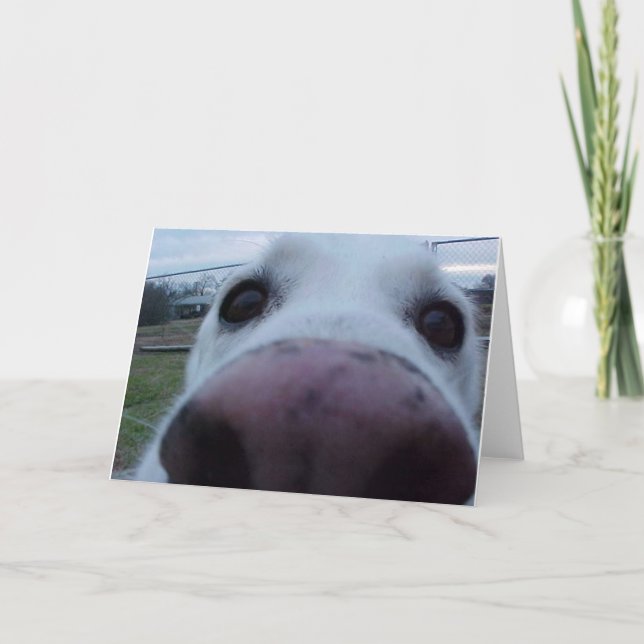 Puppy Dog Face Card (Front)