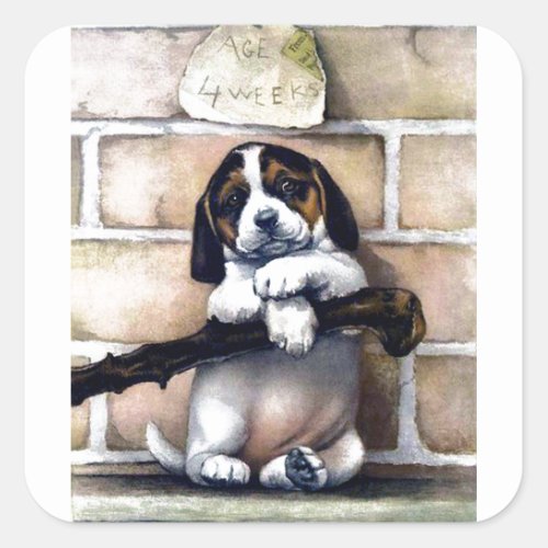 Puppy dog for sale cute vintage illustration square sticker