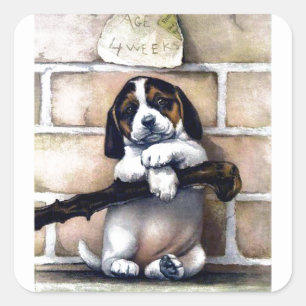 Puppy dog for sale cute vintage illustration square sticker
