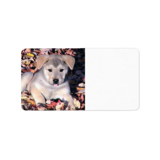 Puppy Dog In Fall Leaves Label