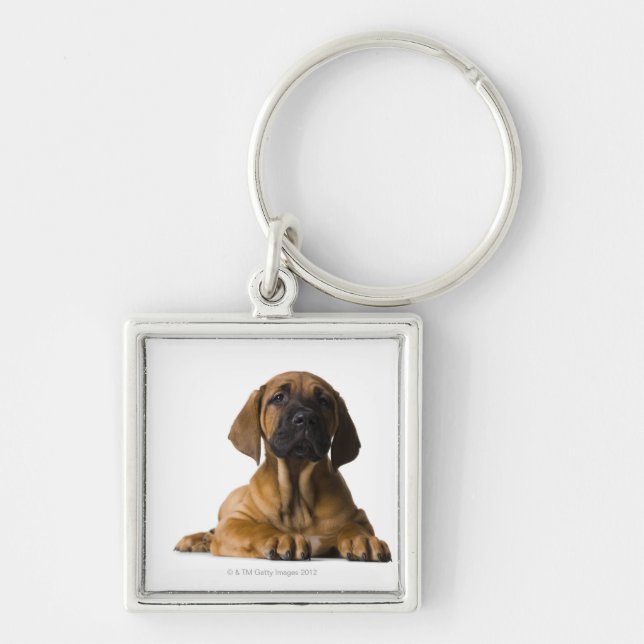 Puppy Dog Keychain (Front)