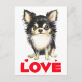 Puppy Dog Long Haired Watercolor Chihuahua Love Postcard (Front)