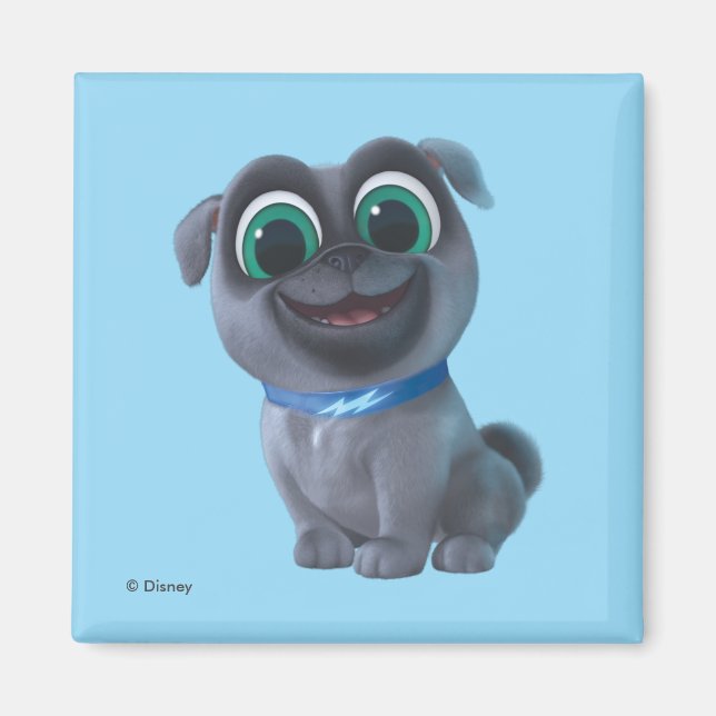 Puppy Dog Pals | Bingo Magnet (Front)