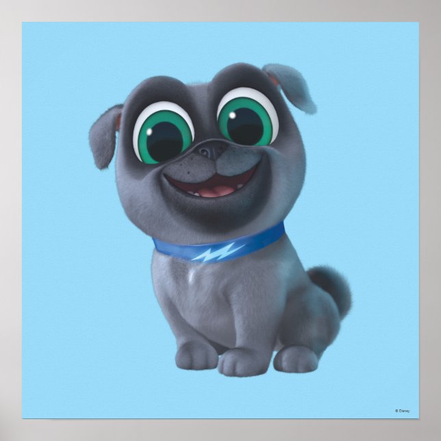 Puppy Dog Pals | Bingo Poster (Front)