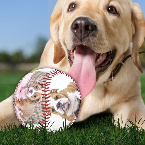 Puppy Dog Photo Collage Keepsake Baseball