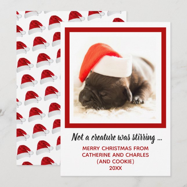 Puppy Dog Photo Pet Holiday Card (Front/Back)