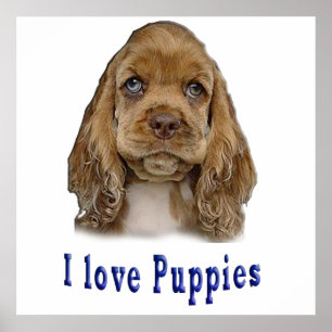 Puppy Dog Poster