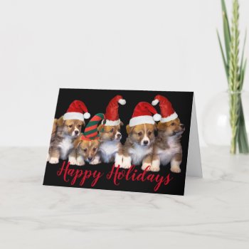 Puppy Dog Santa Hats Happy Holidays Christmas Card by UniqueChristmasGifts at Zazzle