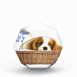 Puppy Dogs Acrylic Award