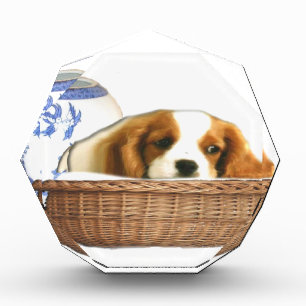 Puppy Dogs Award