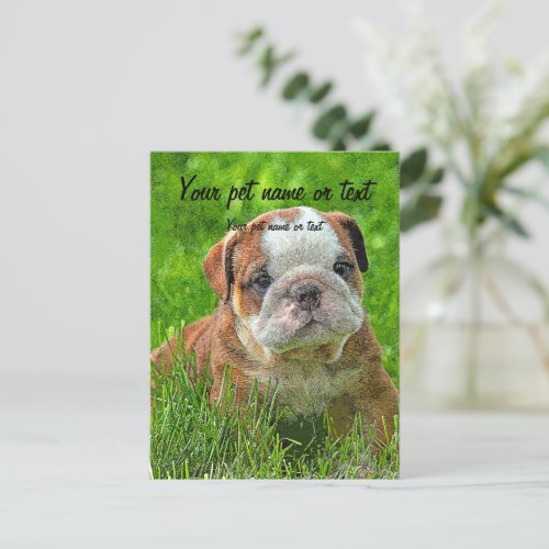 Puppy English Bulldog in the Meadow Postcard