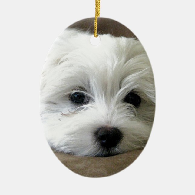 Puppy Eyes Ceramic Ornament (Front)