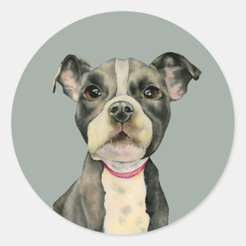 Puppy Eyes  Cute Pit Bull Terrier Dog Classic Round Sticker