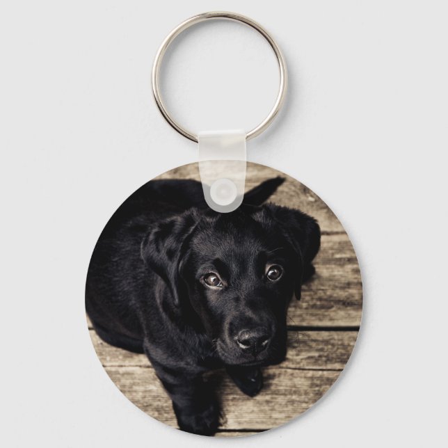 Puppy Eyes Keychain (Front)