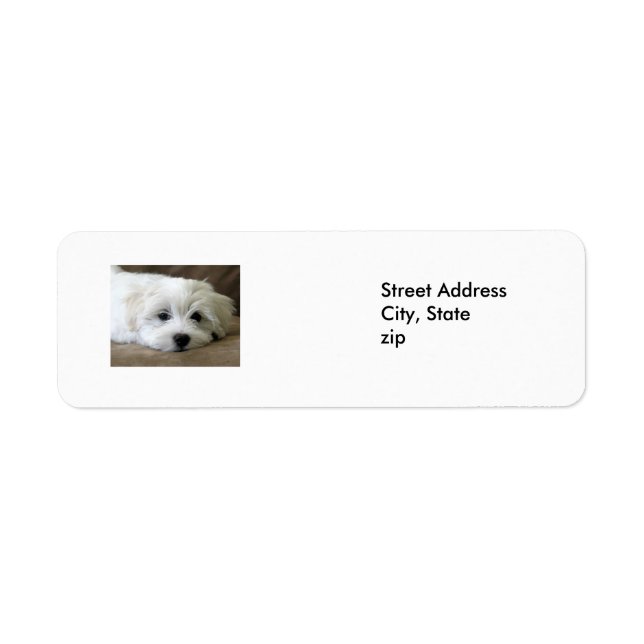 Puppy Eyes Label (Front)