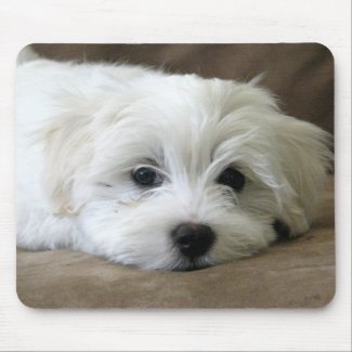 Puppy Eyes Mouse Pad